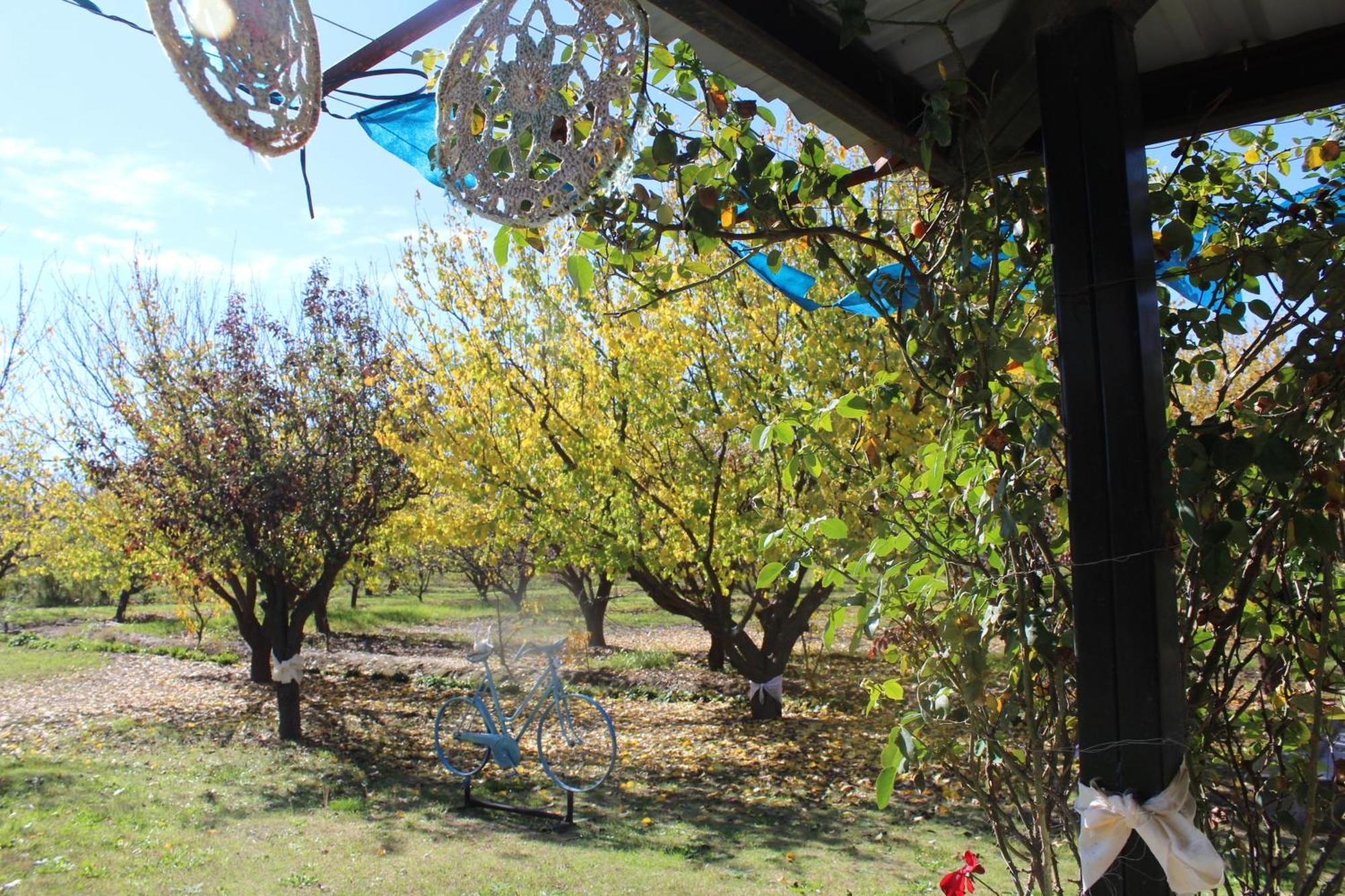 Finca La Celestita Colonia Alvear Exterior foto